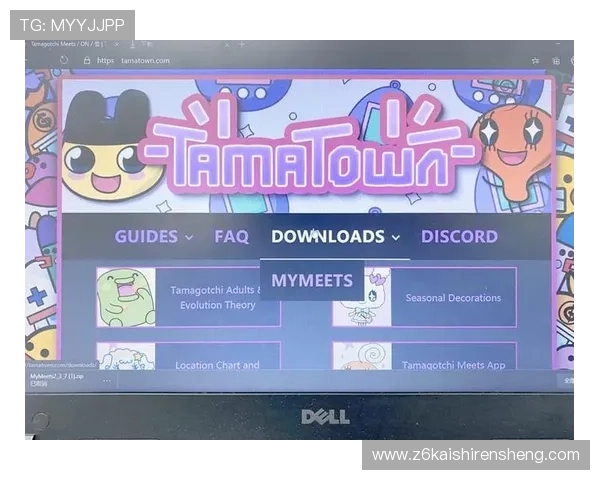 尊龙集团网页版登录官网：最新版本下载与登录流程全攻略